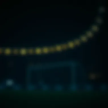 Magnificent 챔스볼의 모든 것: 이해와 선택 Magnificent 챔스볼의 모든 것: 이해와 선택