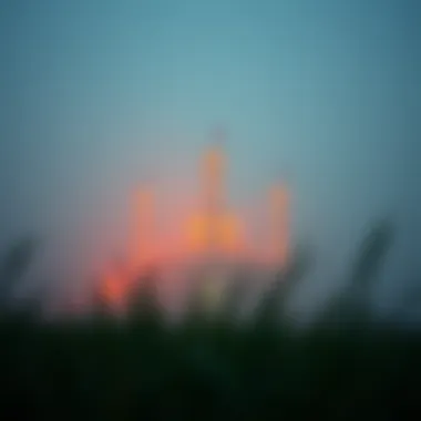 Magnificent 오버언더: 스포츠 베팅의 심층 탐구