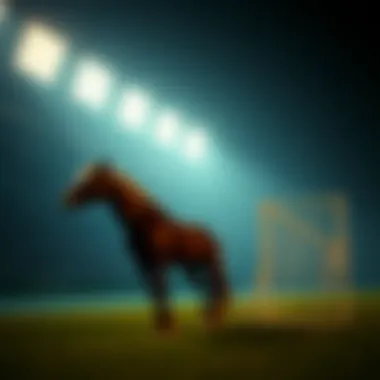 Magnificent 로또 6/45에 대한 전반적인 이해와 베팅 전략
