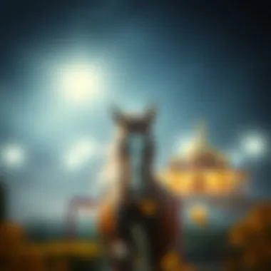 Magnificent 토토커뮤니티 홍보의 중요성과 전략 Magnificent 토토커뮤니티 홍보의 중요성과 전략