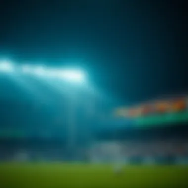Magnificent 월드컵 토토사이트의 선택과 활용 Magnificent 월드컵 토토사이트의 선택과 활용