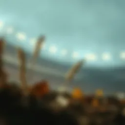 언더 오버 뜻과 스포츠 베팅의 이해 Introduction