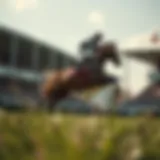 캐나다 로타리오 로또: 기초부터 전문 지식까지 Introduction